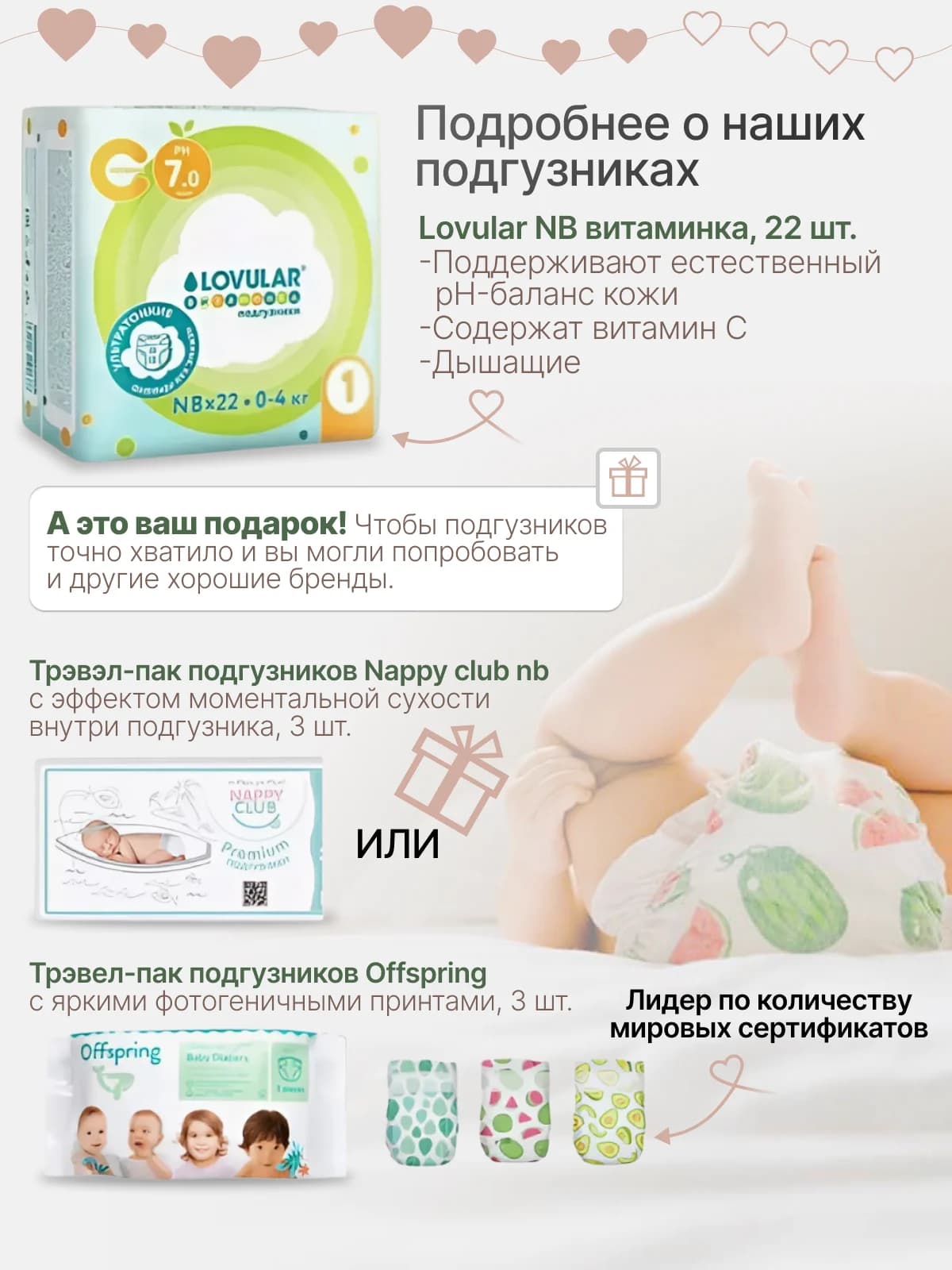 бежевая|XL|9