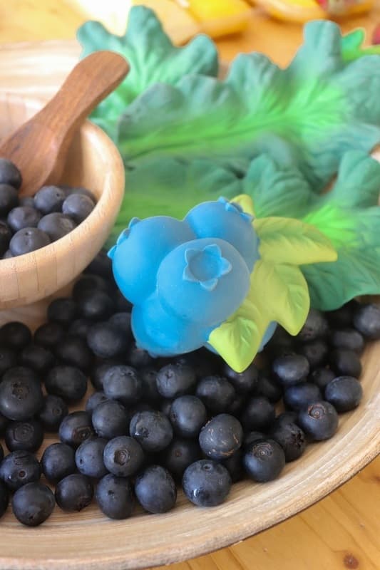 Jerry the Blueberry, прорезыватель для зубов 5