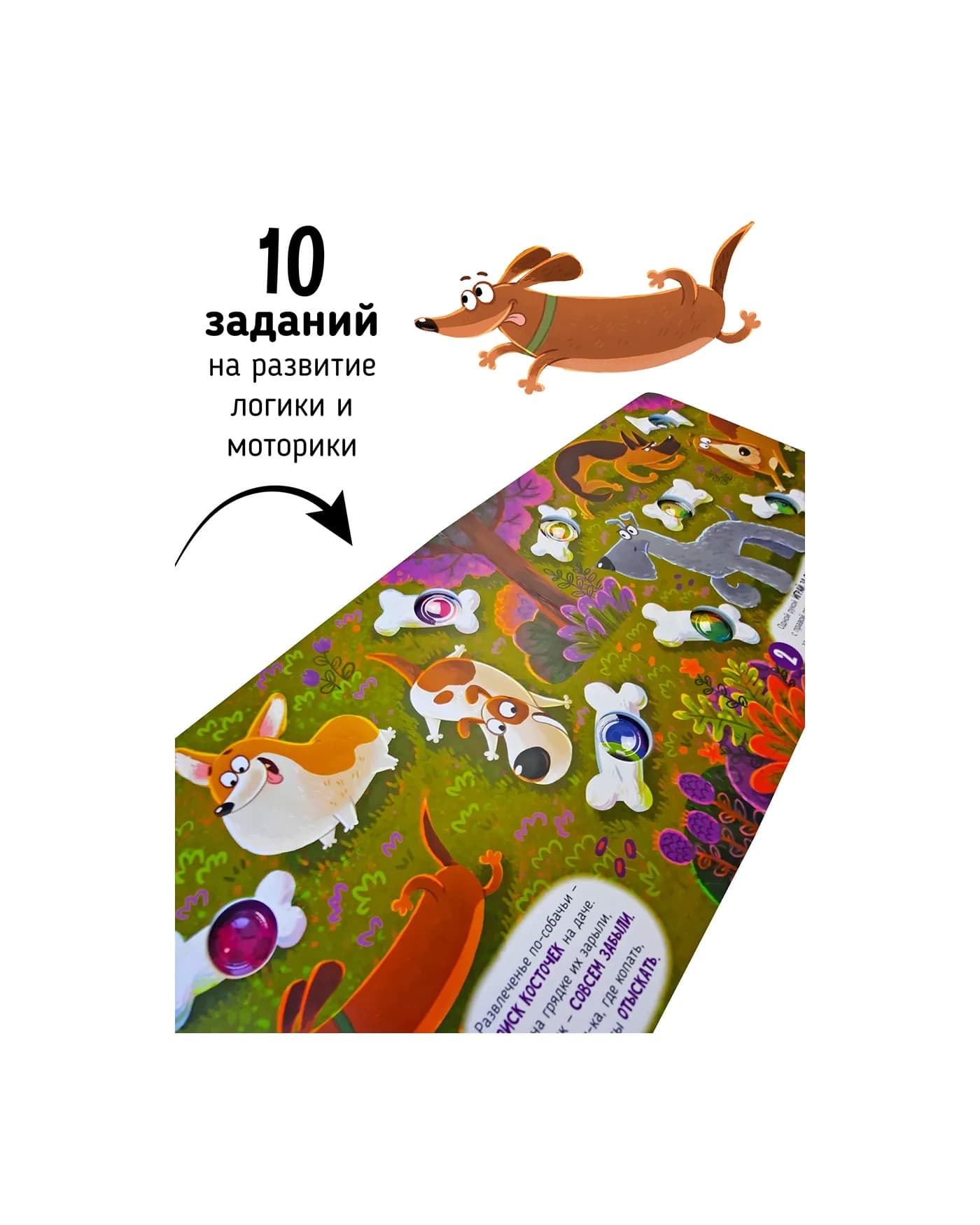 Книга "Весёлые пупырышки. Животные" 4