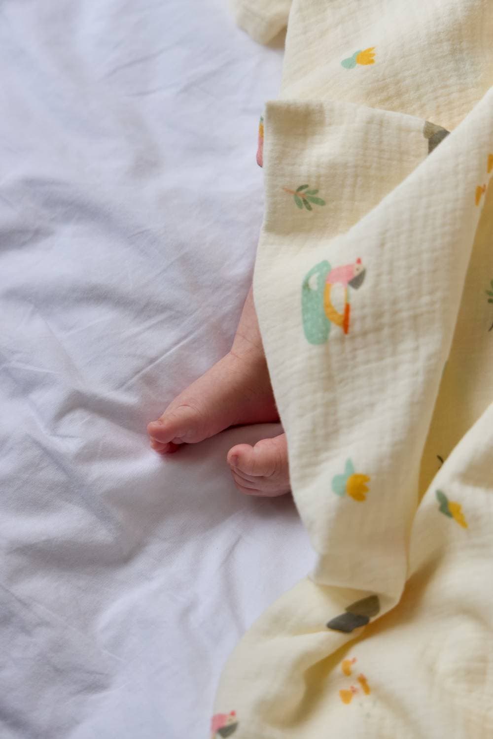 Пелёнки муслиновые BUBA KIDS, 3 шт., Утка-мандаринка/ горчица/ сливочный, 75х75 4