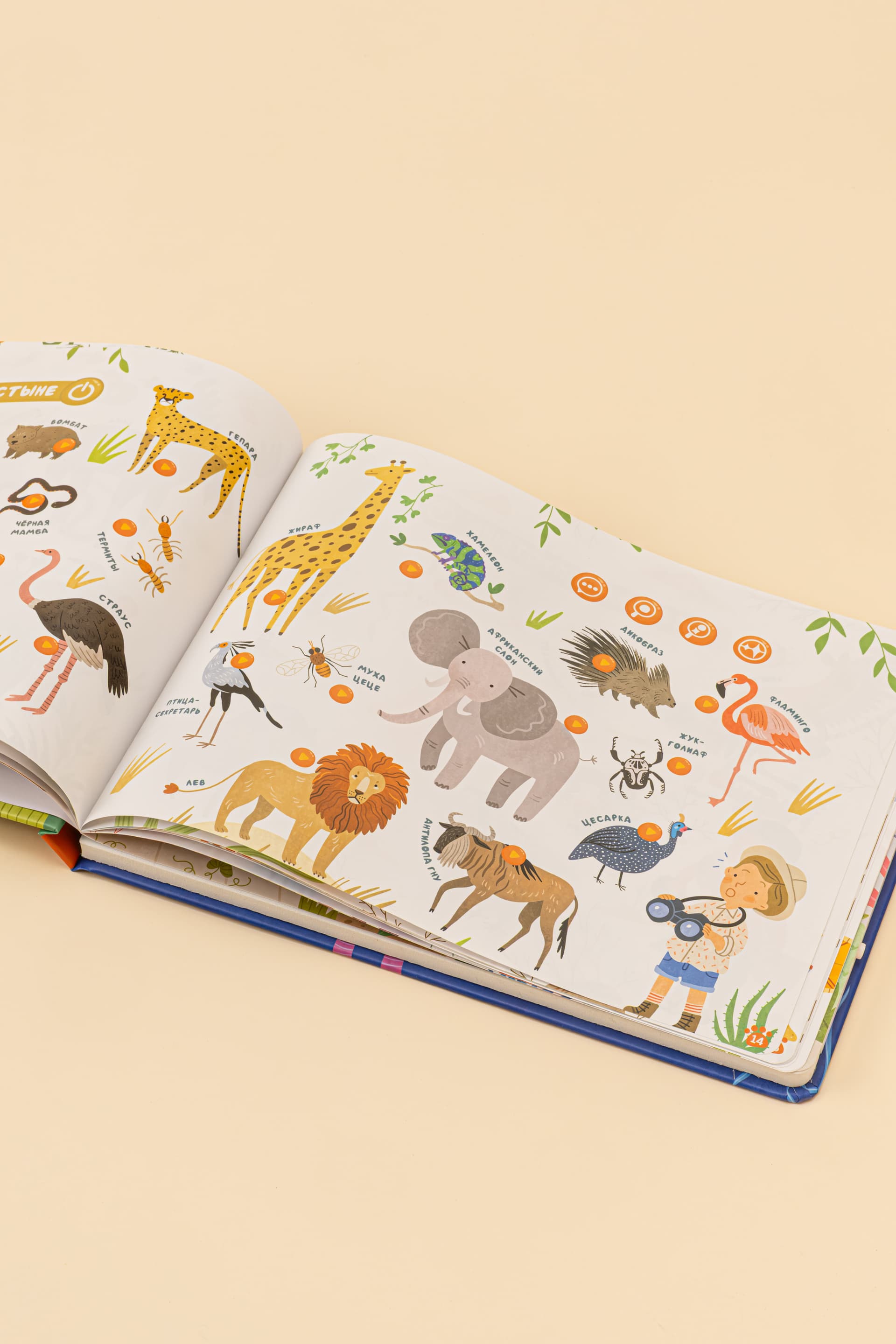 Интерактивная книга Abumba Fingerbook «Какие бывают животные» 5