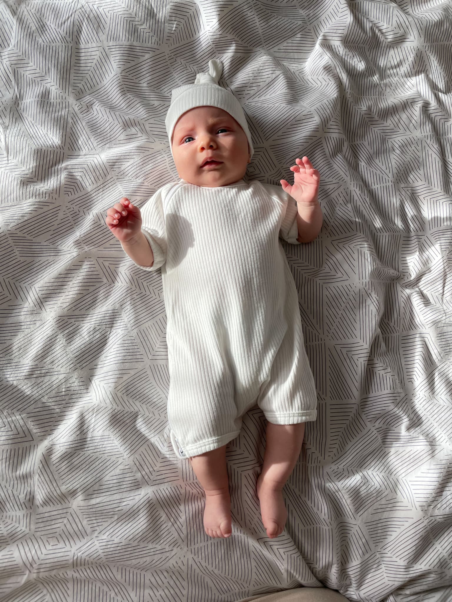 Песочник в рубчик, Сахар 11