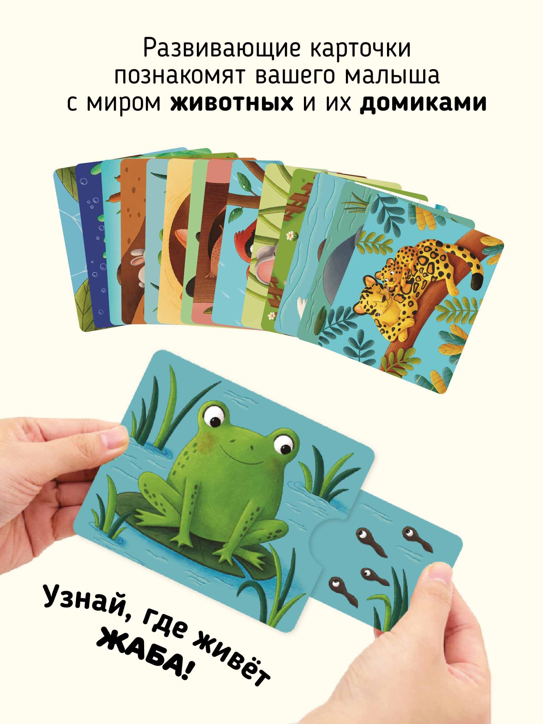 Развивающие карточки "Тяни и смотри" 5