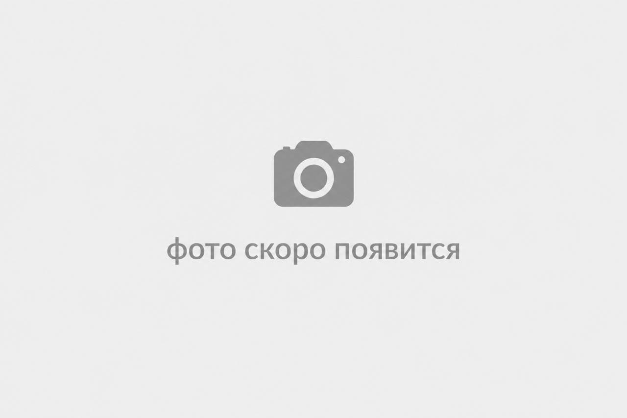 Плед соты из меринос-кашемира Жемчужный